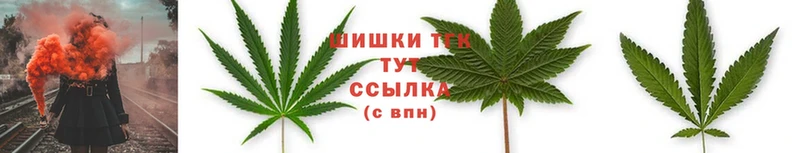 Бошки Шишки LSD WEED  Вичуга 